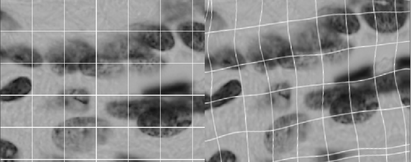 Screenshot from 2024-05-16 15-04-37